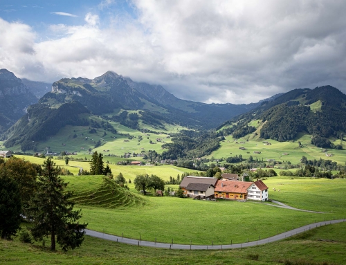 Auf den Spuren des Appenzeller Käse